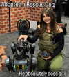 haylujan Altpins Profile Picture