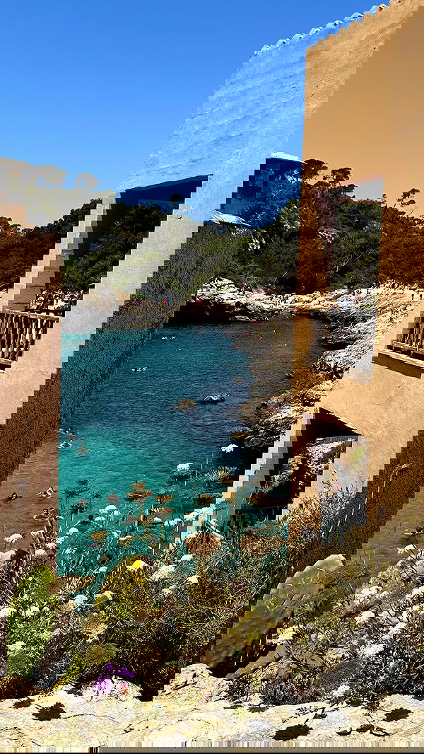 taylor.creeden taylor.creeden archive image