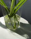 lerkamiill Altpins Profile Picture