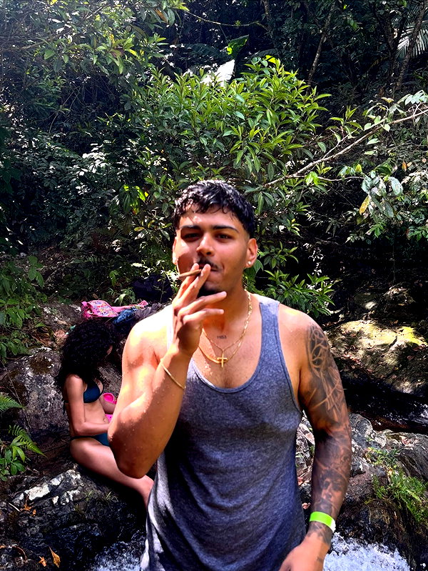 mosssaico instagram image archive image