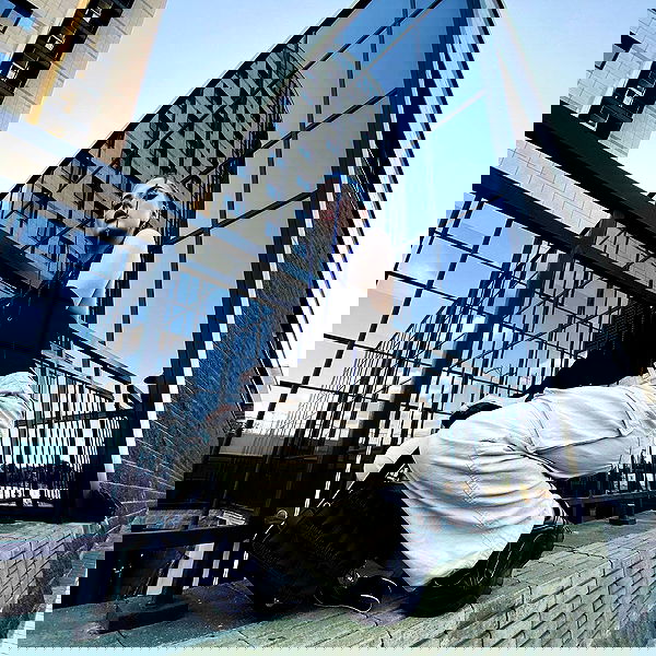 annfigmax image ~ Altpins