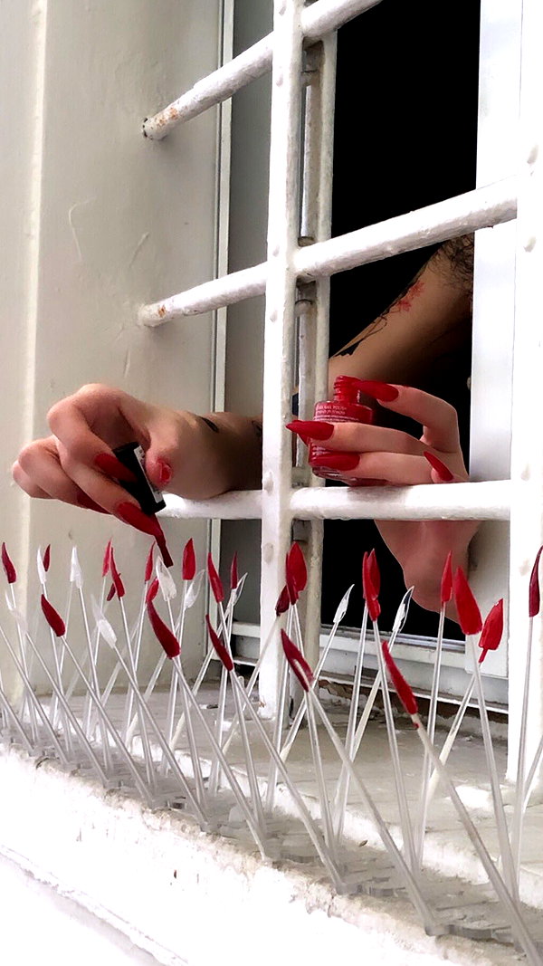 tal.naveh instagram image archive image