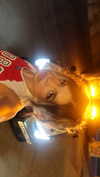 mekhrona_18 Altpins Profile Picture