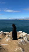 yasminhilde_ Altpins Profile Picture