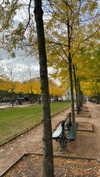 avestanova Altpins Profile Picture