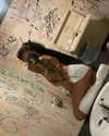 puppyknucklesxx Altpins Profile Picture