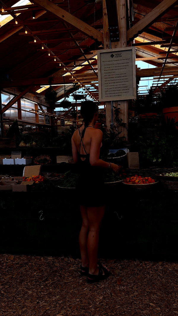laurenhamden instagram image archive image