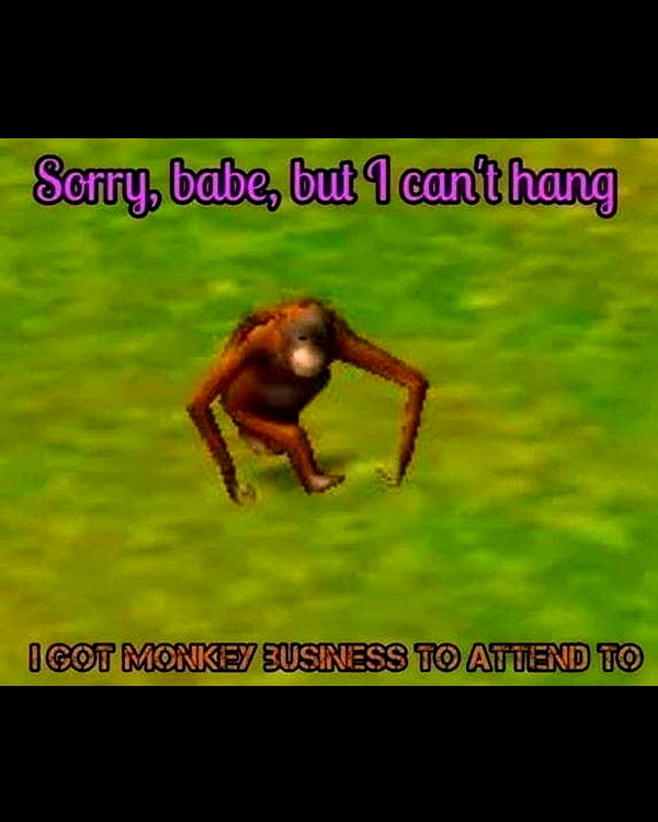 leanbeefpatty instagram image archive image