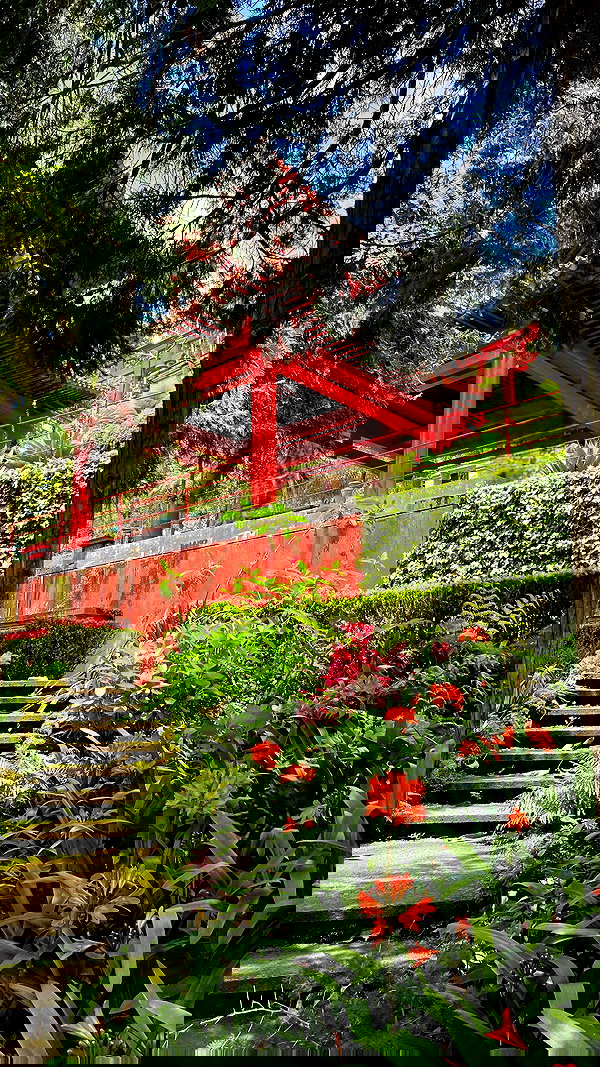 tamagotkri tamagotkri archive image