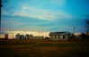 bugz4brainz Altpins Profile Picture