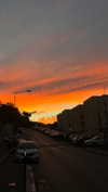 amit.yaron Altpins Profile Picture