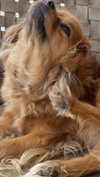 babynympho_archive Altpins Profile Picture