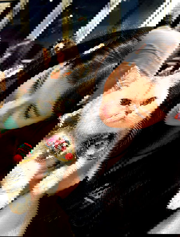 hanna_ky hanna_ky archive image