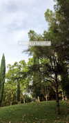 annabottoo Altpins Profile Picture