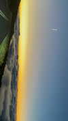 maori_cohen Altpins Profile Picture