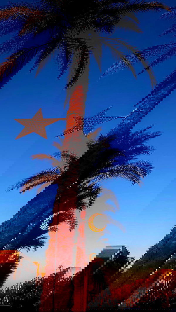 taylor.creeden taylor.creeden archive image