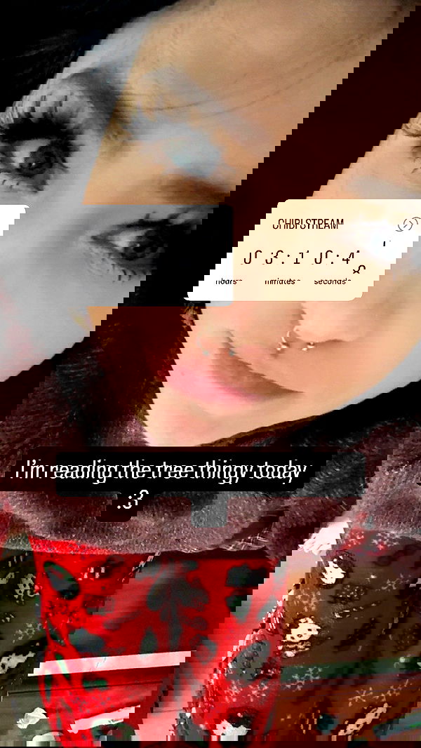 chibinekopurr chibinekopurr archive image