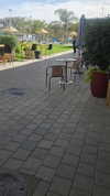 avital_1010.2003 Altpins Profile Picture