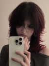 pavuk1_0 Altpins Profile Picture