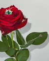 daryanedarya Altpins Profile Picture