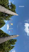 _lironatias Altpins Profile Picture
