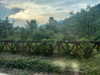 marlene_808 Altpins Profile Picture