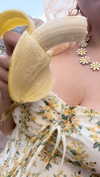 schnuckell Altpins Profile Picture