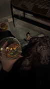 ilana.21 Altpins Profile Picture