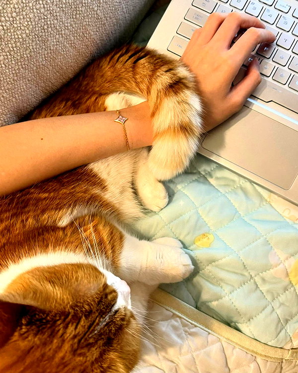 igumdrop instagram image archive image