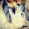 sashapieterse Altpins Profile Picture