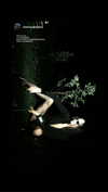 kkwwwv Altpins Profile Picture