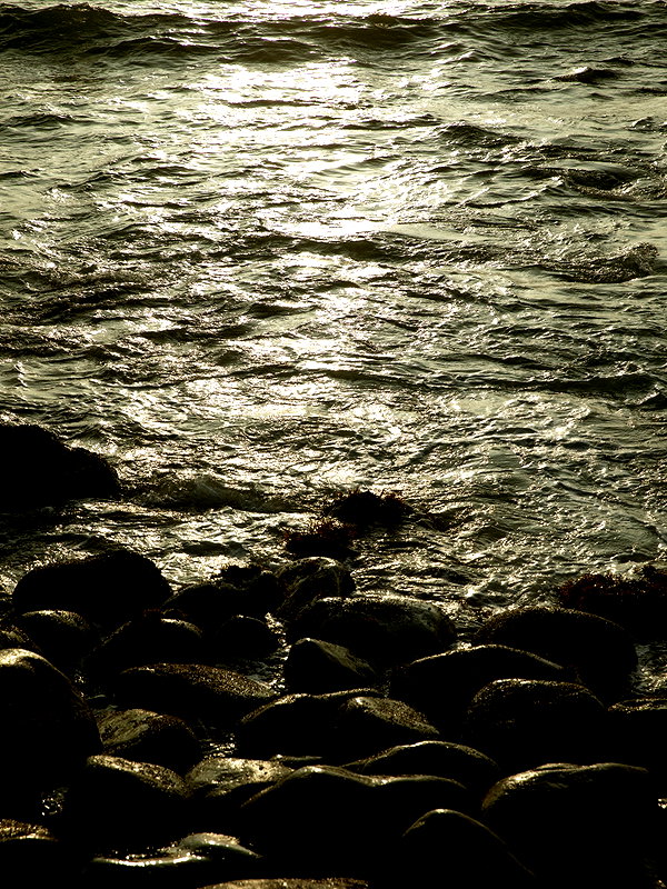 solzarubin_ instagram image archive image