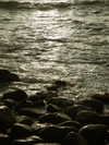 solzarubin_ Altpins Profile Picture