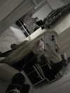 dollcja Altpins Profile Picture
