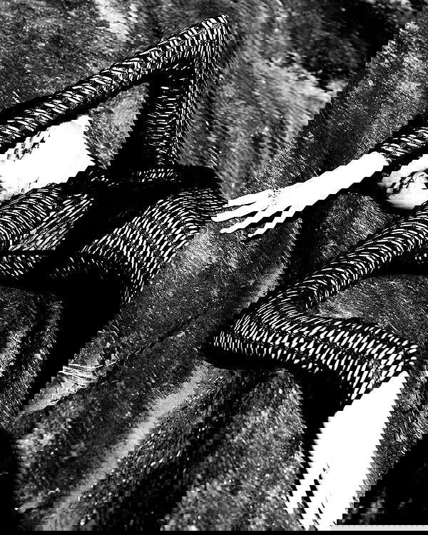 taylor.creeden taylor.creeden archive image