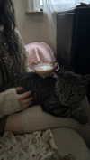 ash.onme Altpins Profile Picture