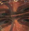 bugz4brainz Altpins Profile Picture