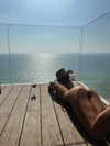 daria.temnik1 Altpins Profile Picture