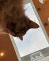 777pb_ Altpins Profile Picture
