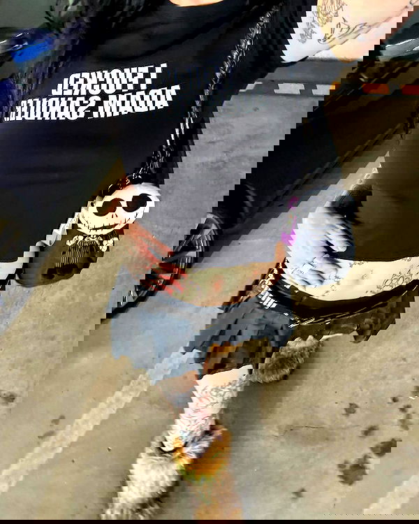 jtilb2 image ~ Altpins