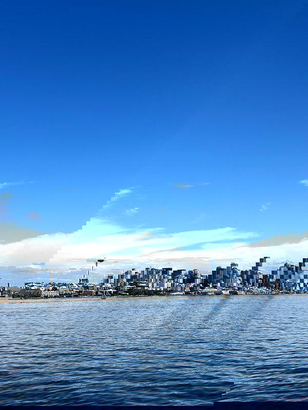 thelizzyporter thelizzyporter archive image