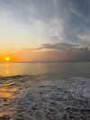 katiehamden_ Altpins Profile Picture