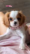 alexxndrraa Altpins Profile Picture