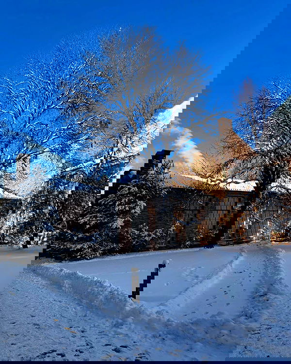 thelizzyporter thelizzyporter archive image