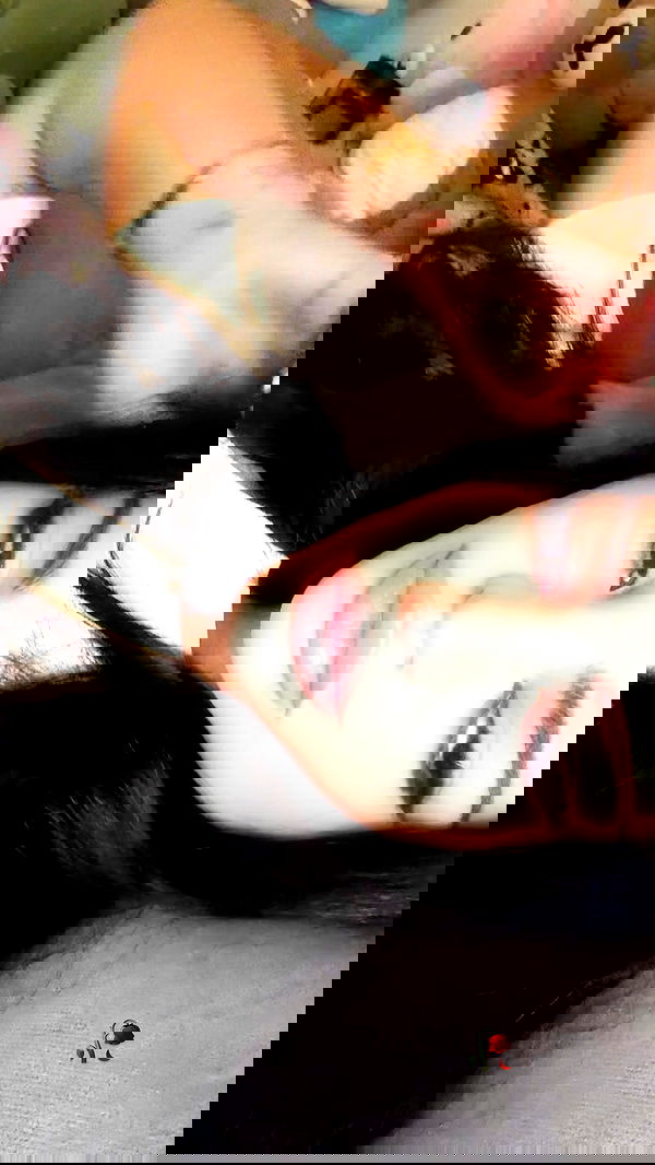 sincerelyjuju sincerelyjuju archive image