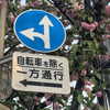 glowmoonshorty Altpins Profile Picture