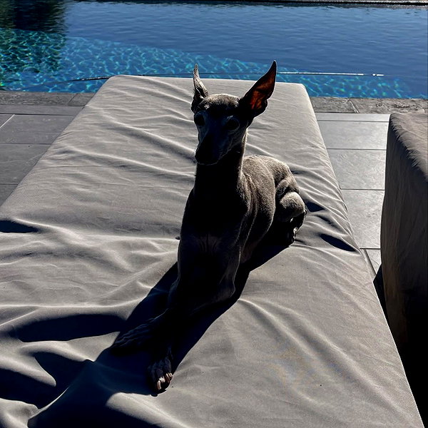 kyliejenner instagram image archive image