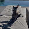 kyliejenner Altpins Profile Picture