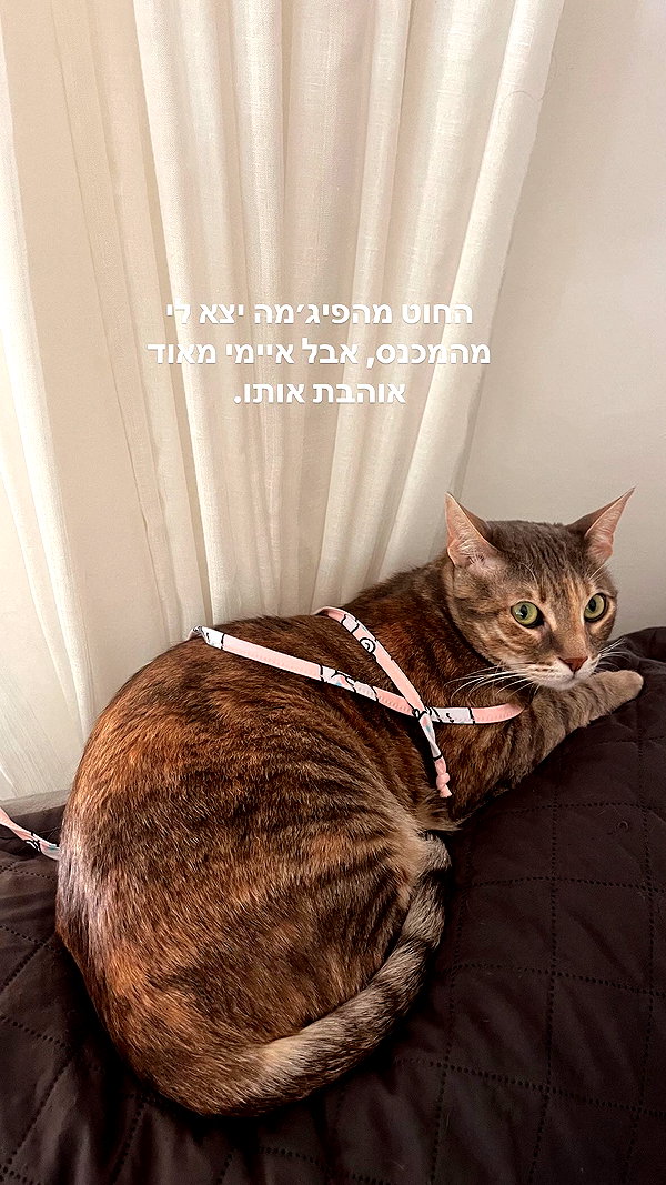 Archived image from @notchicore on Instagram