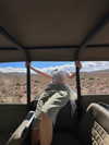 vanessa.rhd Altpins Profile Picture